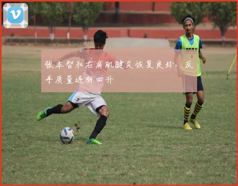 张本智和右肩肌腱炎恢复良好，反手质量逐渐回升